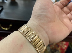 做大众中的小众  领略宝玑特别的美