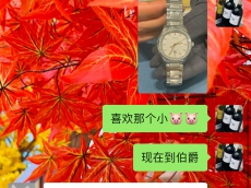 今年的生日听从安排  伯爵 PIAGET POLO