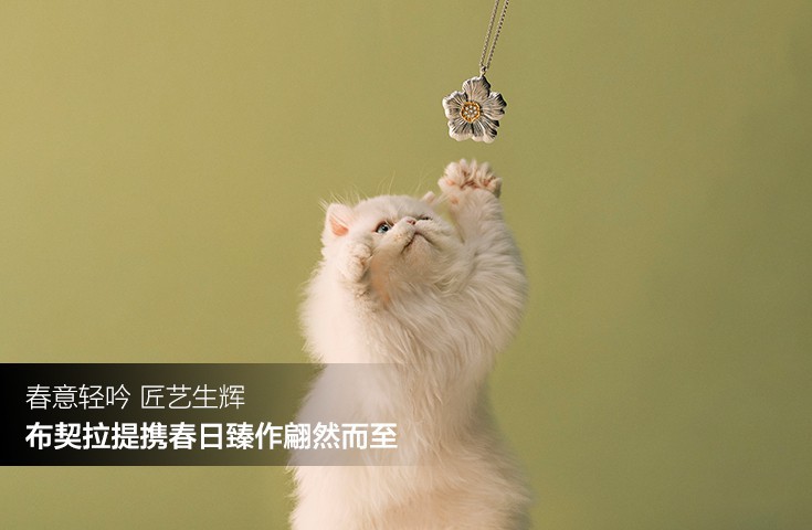 春意轻吟 匠艺生辉 布契拉提携春日臻作翩然而至