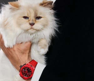 全球知名宠猫CHOUPETTE倾情演绎 HUBLOT宇舶表BIG BANG系列20周年广告大片