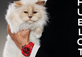 全球知名宠猫CHOUPETTE倾情演绎 HUBLOT宇舶表BIG BANG系列20周年广告大片