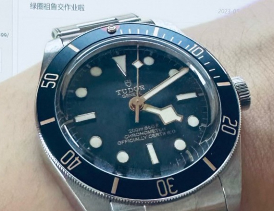 帝舵碧湾1958黑金  姗姗来迟的认证贴