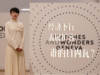 经济下行，表展扩容，谁的日内瓦？