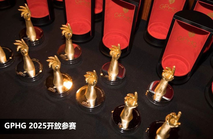 GPHG 2025开放参赛