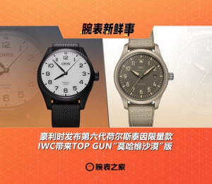 豪利时发布第六代荷尔斯泰因限量款、IWC带来TOP GUN“莫哈维沙漠”版：腕表新鲜事（6.2 - 6.8）