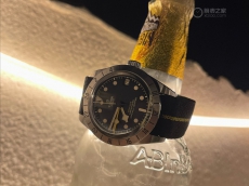 79470一直的陪伴  帝舵 碧湾 专业型