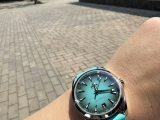 戴着爱表游古建筑  欧米茄海马AT150