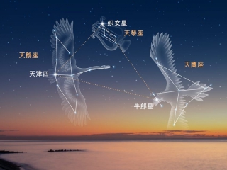 上海最核心，江诗丹顿大庆270周年