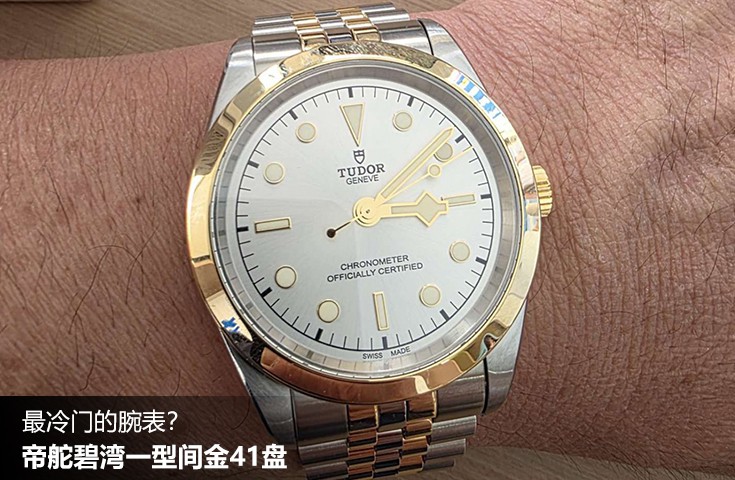  [论坛] 最冷门的腕表？ 帝舵碧湾一型间金41盘