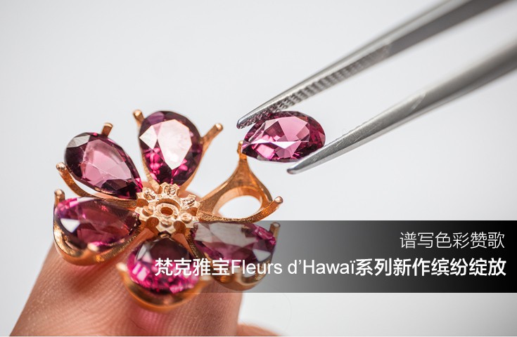梵克雅寶Fleurs d’Hawa?系列新作繽紛綻放 譜寫(xiě)色彩贊歌