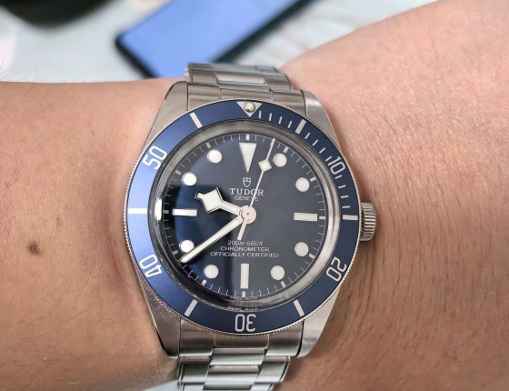 帝舵1958碧湾海军蓝  BlackBay NAVY blue向经典致敬