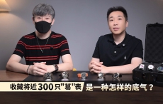 收藏将近300只