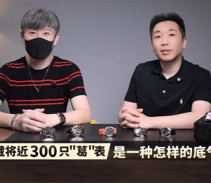 收藏将近300只