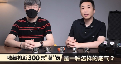 收藏将近300只