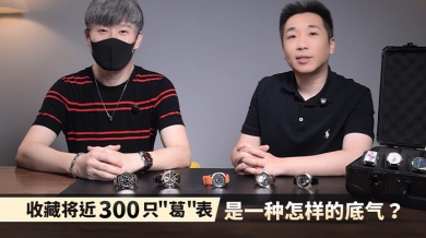 收藏将近300只