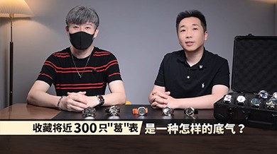 收藏将近300只