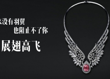 生来没有羽翼，也阻止不了你展翅高飞 （视频）