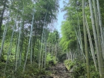 带上黑钢迪游山玩水啦  劳力士宇宙计型迪通拿