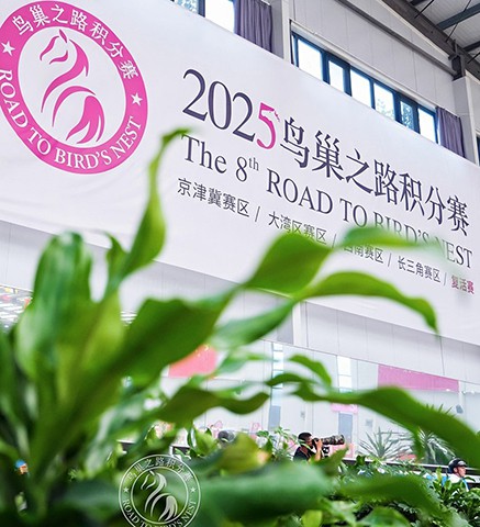 2025鸟巢之路收官：第十二届浪琴表北京国际马术大师赛晋级阵容荣耀揭晓