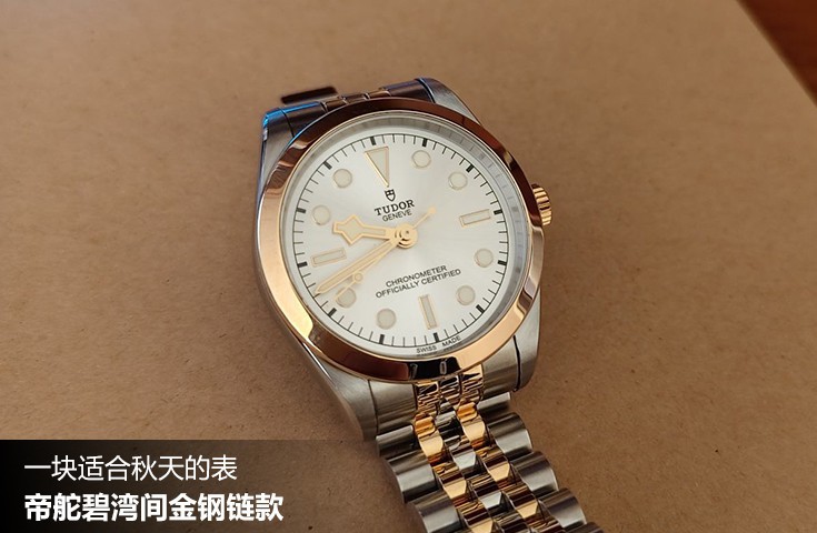  [論壇] 一塊適合秋天的表  帝舵碧灣間金鋼鏈款