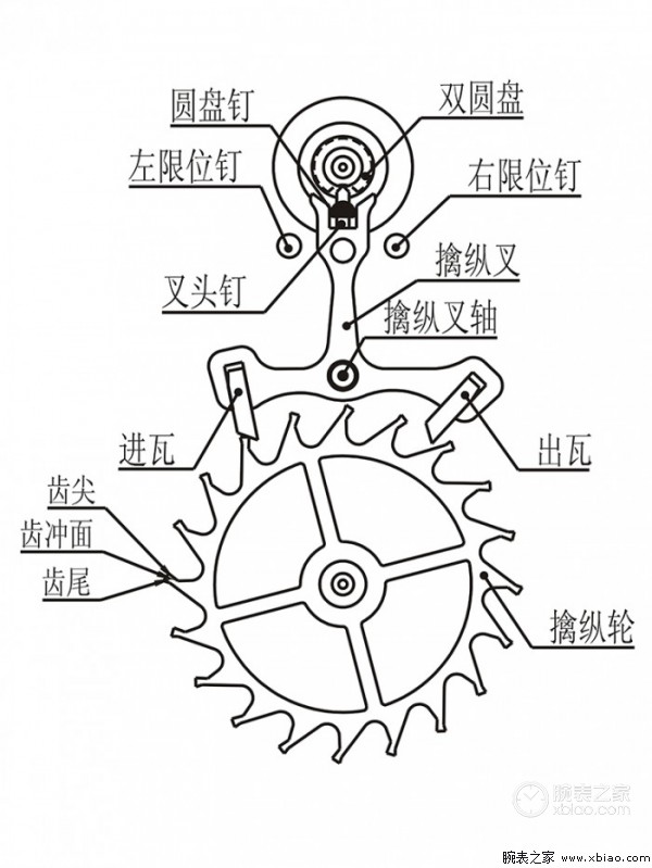 拓飞腕表讲堂