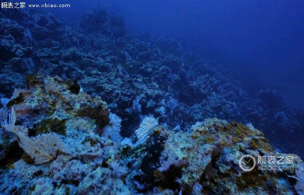 岩浆流过的留尼汪岛海床